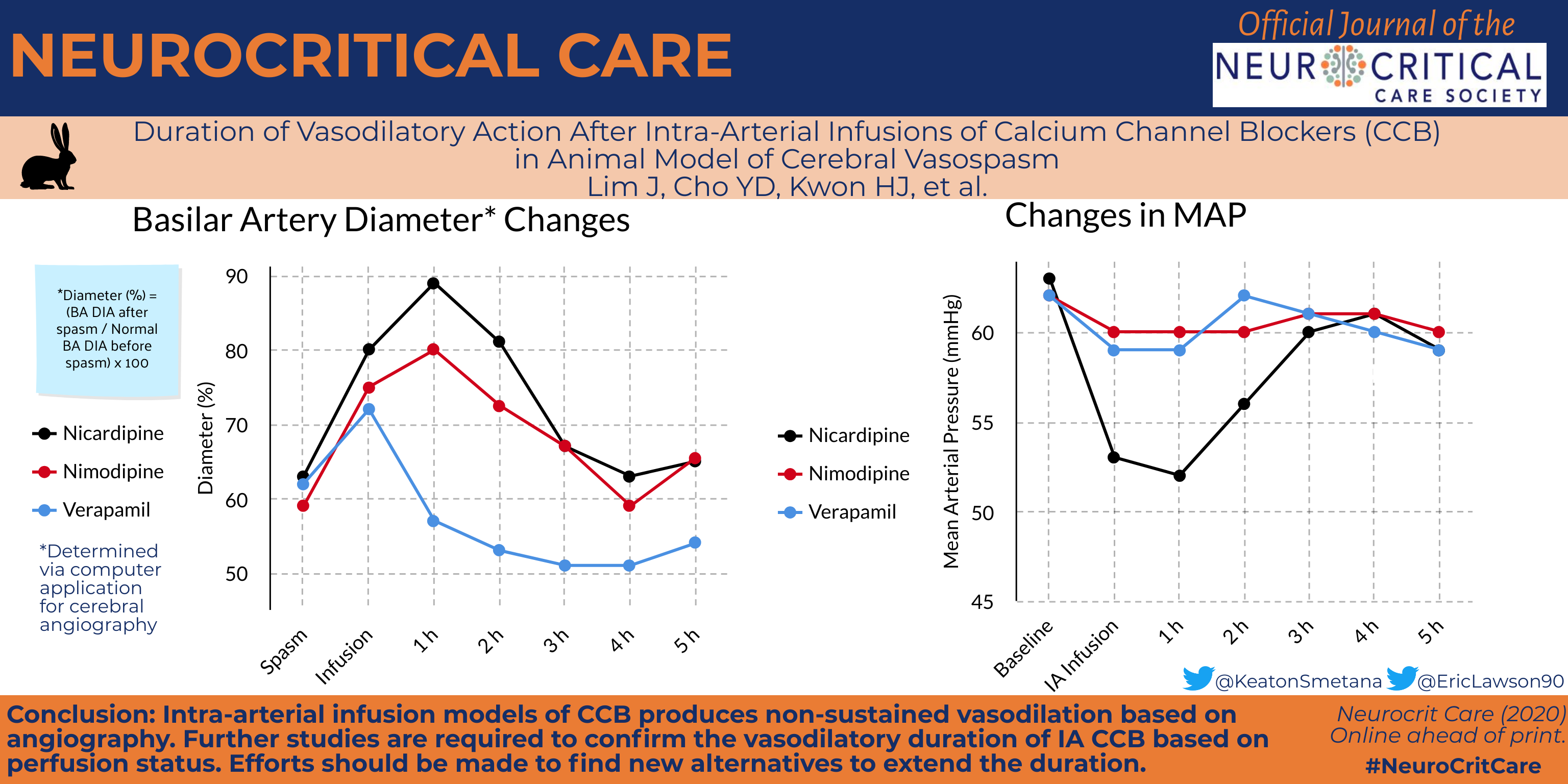 Duration of Vasodilatory Action After Intra-arterial Infusions of Calcium Channel Blockers in Animal Model of Cerebral Vasospasm